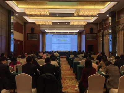 我市召开地方政府非标专项债项目策划咨询与申报工作推进会 抢抓政策机遇 夯实发展基础