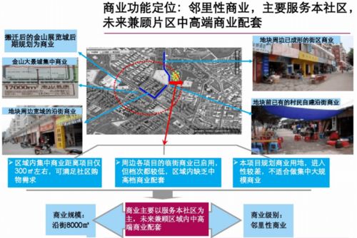 铂悦·栖境”——高定都会生活样板 精品住宅项目前期策划方案